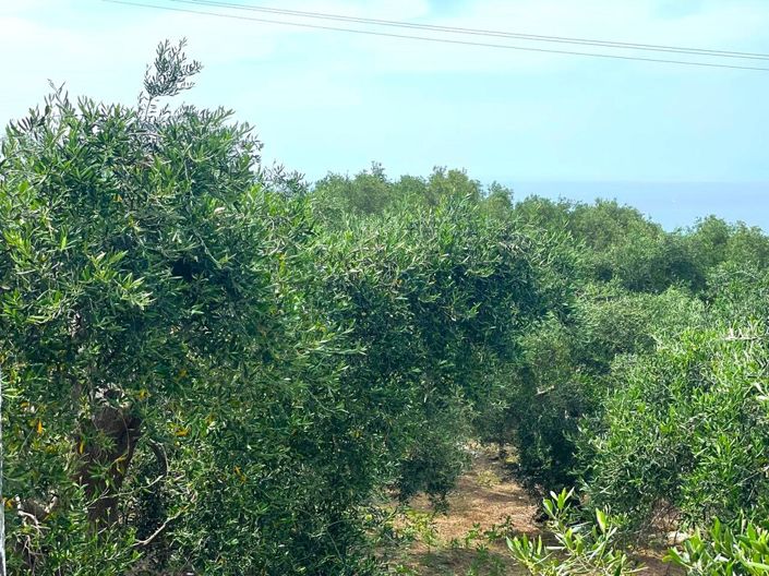 Image No.27-2 Bed Maisonette for sale