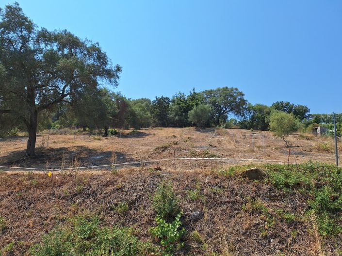 Image No.9-Land for sale