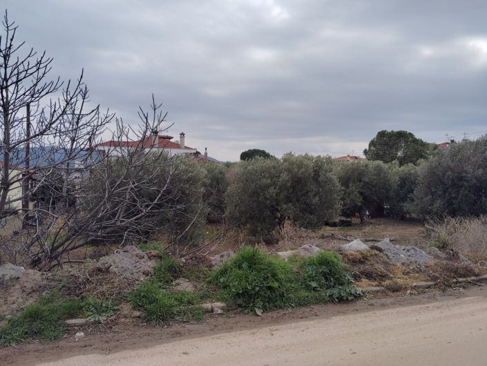 Image No.7-Land for sale