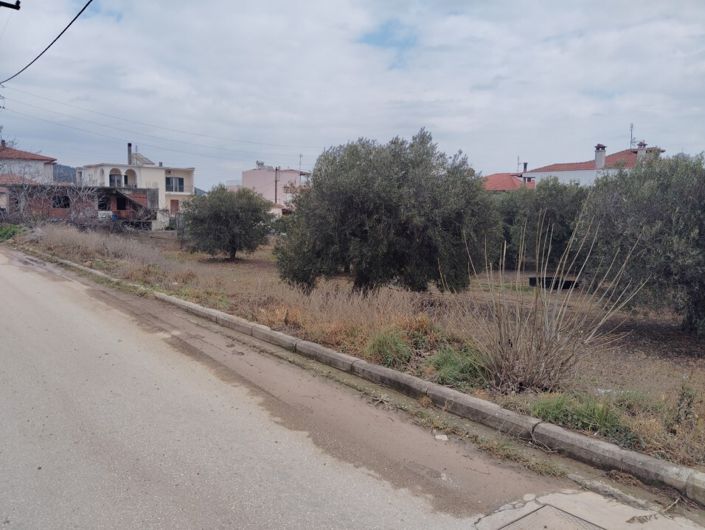 Image No.5-Land for sale