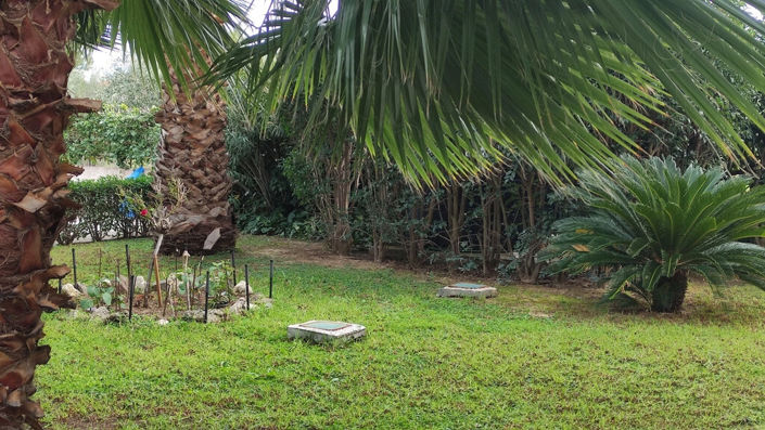 Image No.12-2 Bed Flat for sale