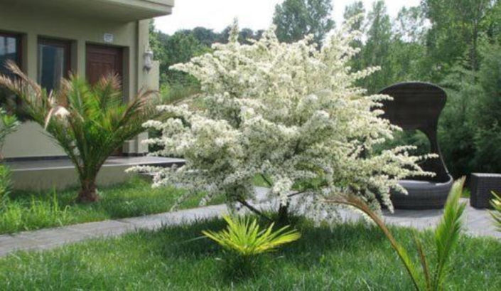 Image No.9-Hotel for sale