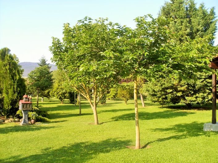 Image No.24-3 Bed Property for sale