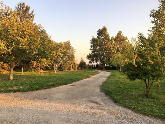 Image No.5-5 Bed Property for sale