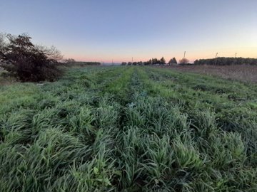 Photo 1 - Land 0 m² in Central Macedonia