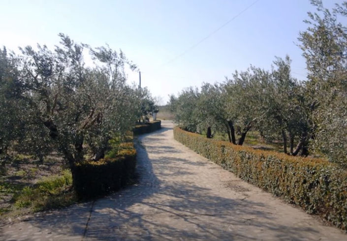 Image No.14-5 Bed Property for sale