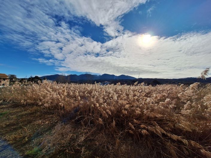 Image No.24-2 Bed Property for sale