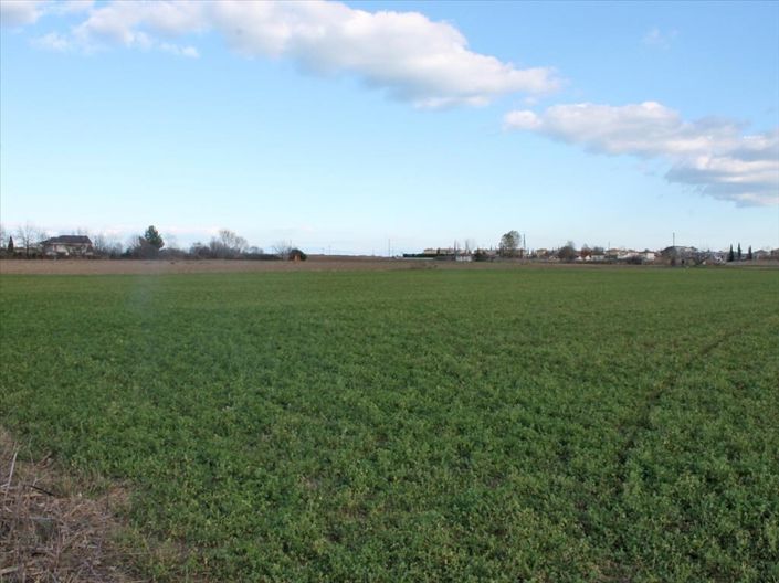 Image No.2-Land for sale