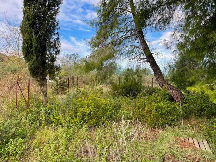 Image No.7-Land for sale