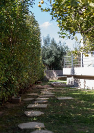 Photo 4 - Cottage 217 m² in Attica
