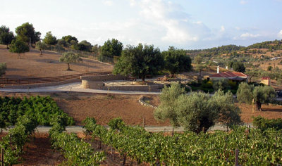 Photo 2 - Land 0 m² in Peloponnese