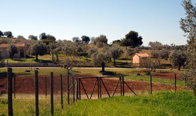 Photo 3 - Land 0 m² in Peloponnese