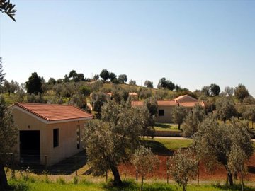 Photo 5 - Land 0 m² in Peloponnese