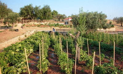 Photo 7 - Land 0 m² in Peloponnese