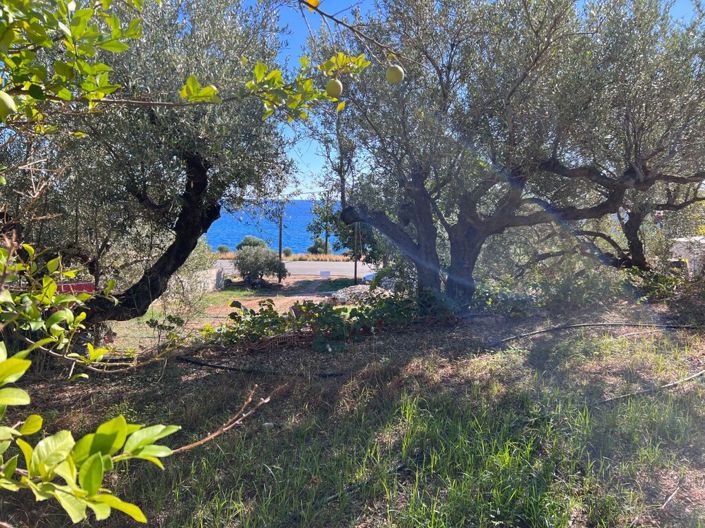 Image No.3-Land for sale