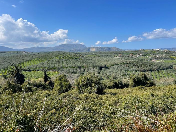 Image No.3-Land for sale