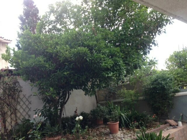 Image No.22-Property for sale