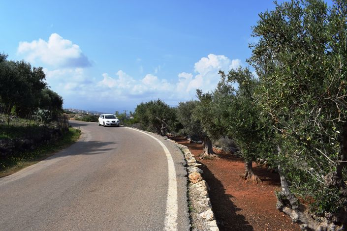 Image No.12-Land for sale