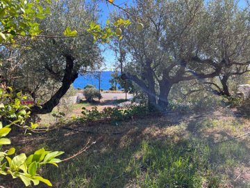 Photo 4 - Commercial 144 m² in Crete