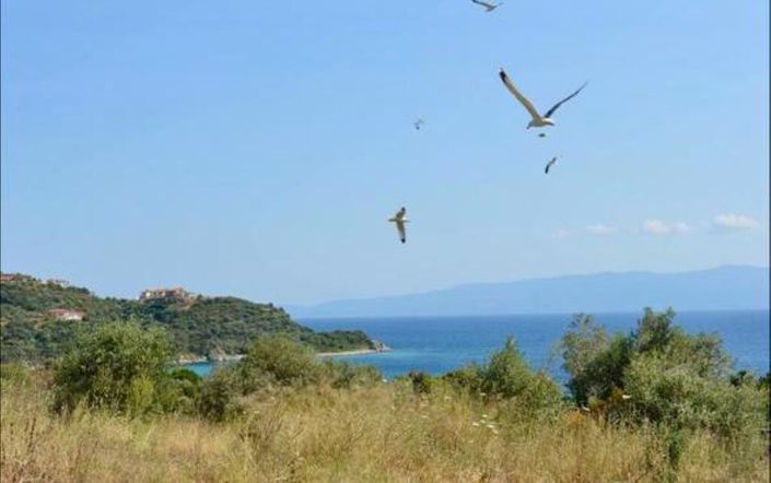 Image No.12-1 Bed Flat for sale