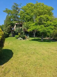 1 - Halkidiki, Property