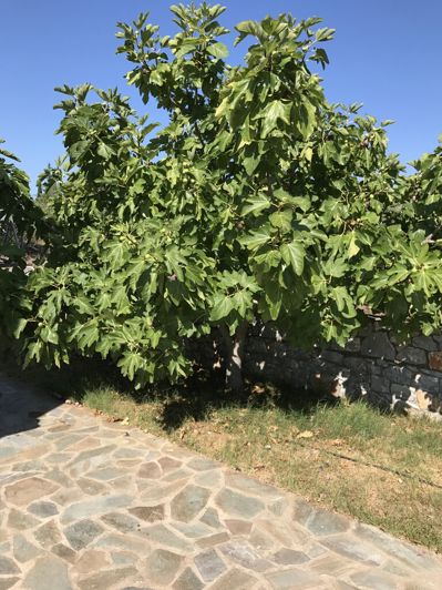 Image No.10-3 Bed Property for sale