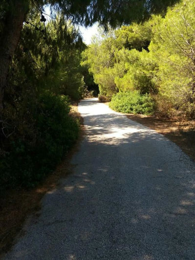 Image No.3-2 Bed Flat for sale