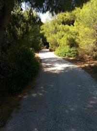 Photo 4 - Apartment 115 m² in Attica