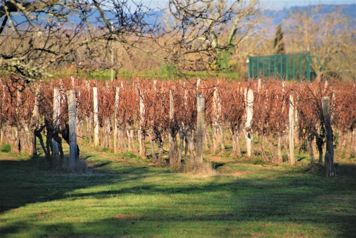 Image No.12-5 Bed House for sale