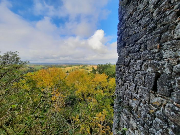 Image No.4-House for sale