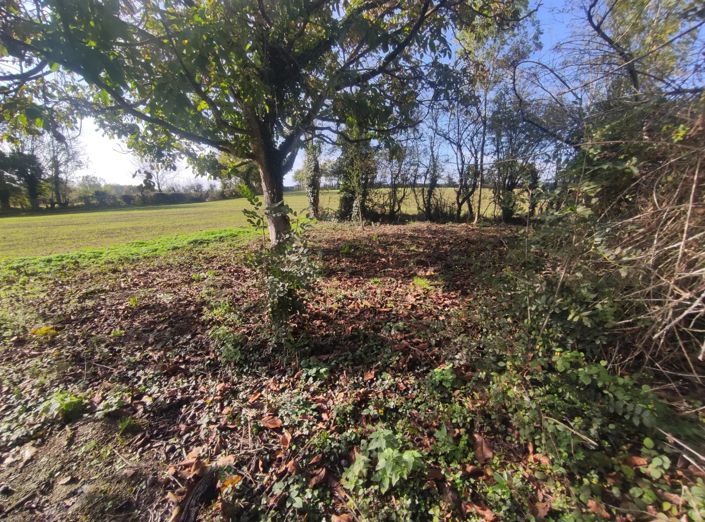 Image No.4-Barn for sale