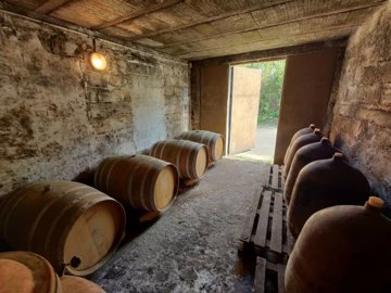 022da29868cbd2653d9921bc7bde32630bd8c4f2f9192