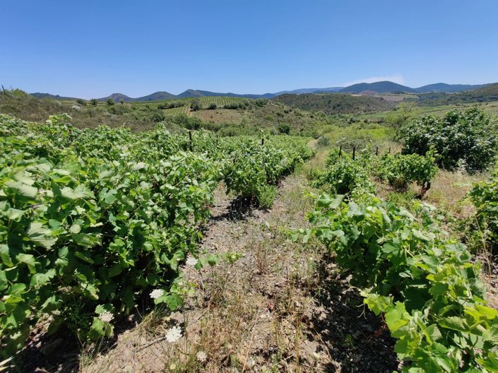 Image No.2-14 Bed House for sale