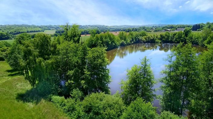 Image No.4-8 Bed House for sale