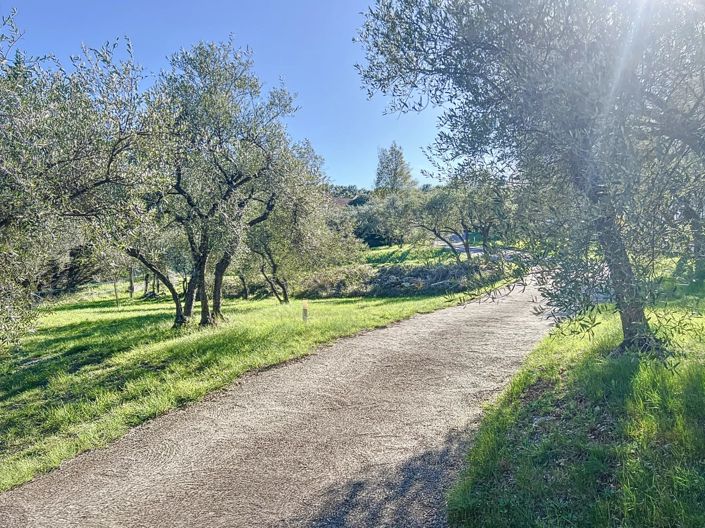 Image No.7-4 Bed House for sale