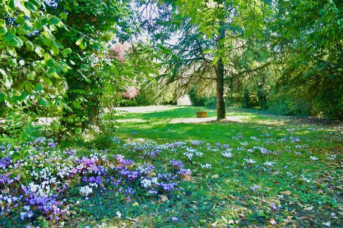 Image No.2-10 Bed House for sale