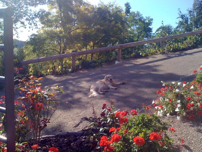 Image No.5-2 Bed House for sale