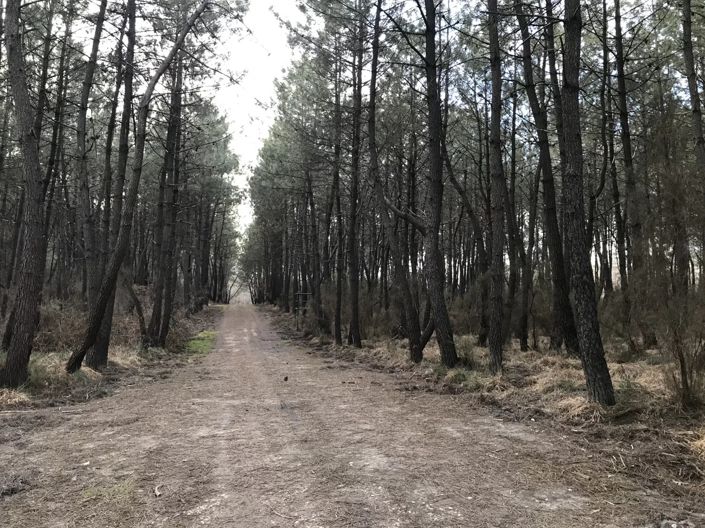 Image No.2-3 Bed House for sale