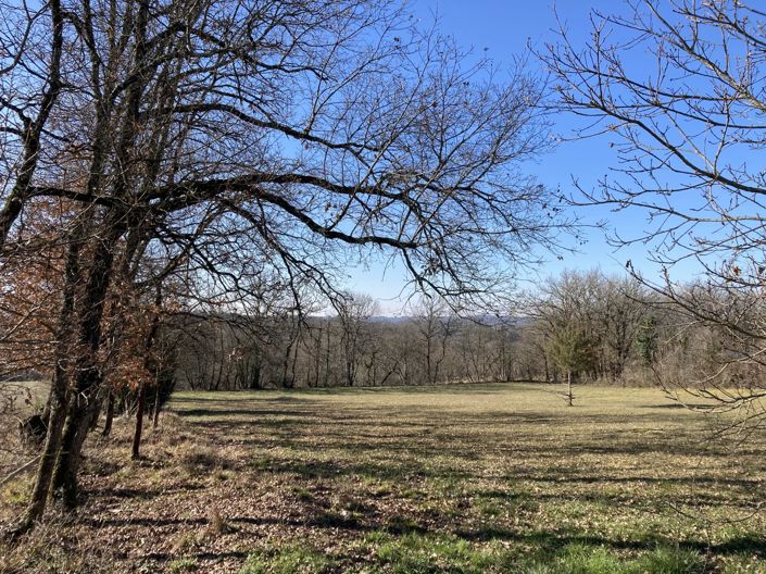 Image No.3-Property for sale