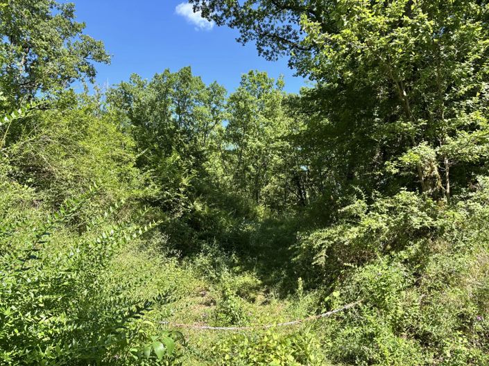 Image No.3-Property for sale