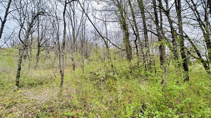 Image No.9-Property for sale