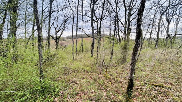 Image No.10-Property for sale