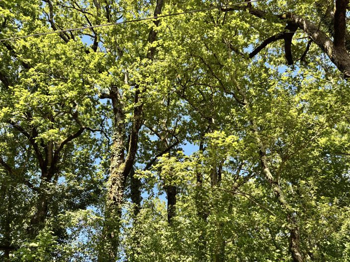 Image No.6-Property for sale