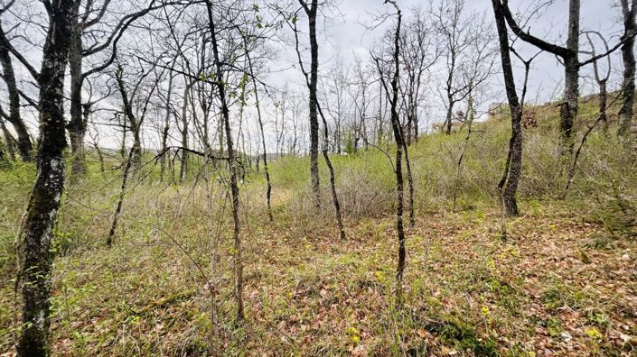 Image No.11-Property for sale