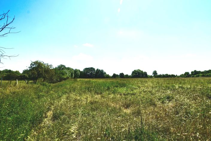 Image No.15-7 Bed Village House for sale