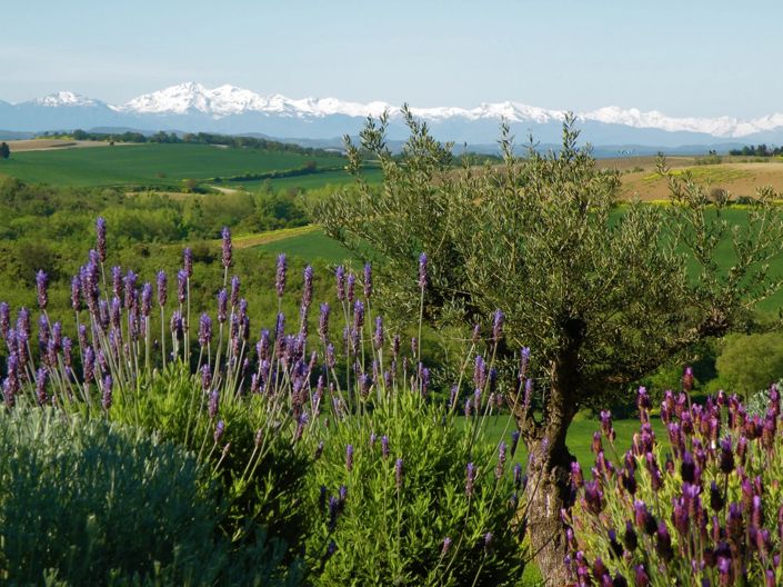 Image No.2-18 Bed House for sale