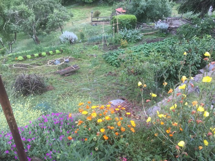 Image No.8-8 Bed House for sale