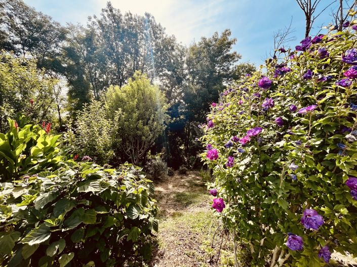 Image No.11-4 Bed House for sale