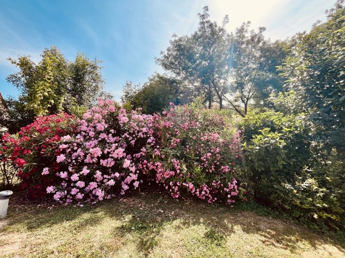 Image No.13-4 Bed House for sale