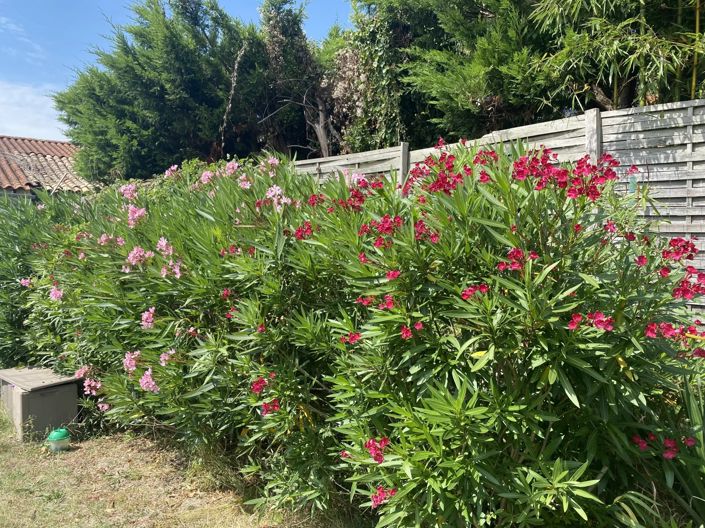 Image No.9-4 Bed House for sale